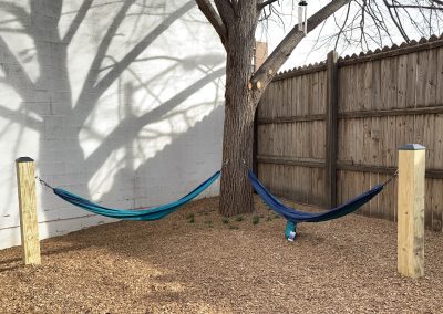 hammocks and a tree